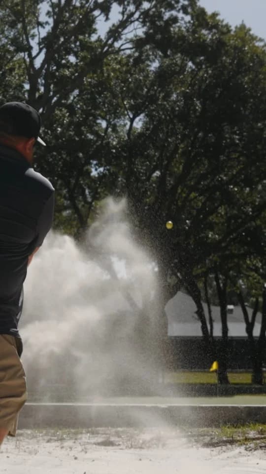 Backyard turned into a golf course