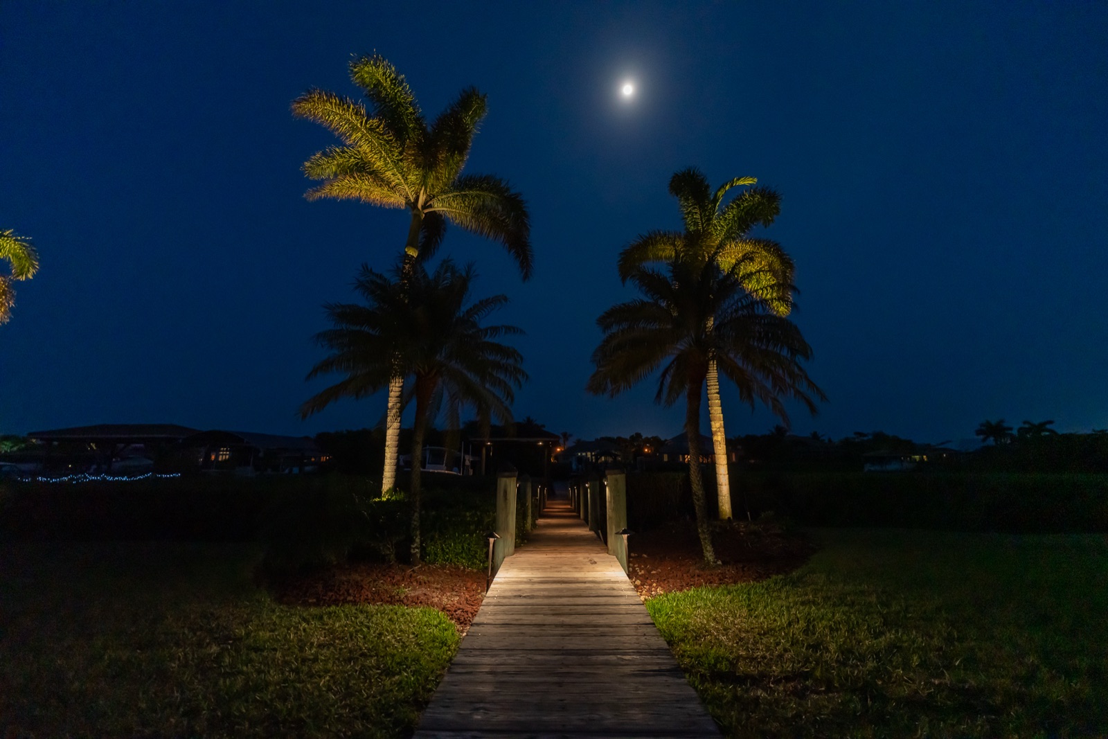 Lit boardwalk winding between palm trees under a full moon