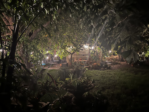 Landscape Lighting project photo shared by Lorna Farley