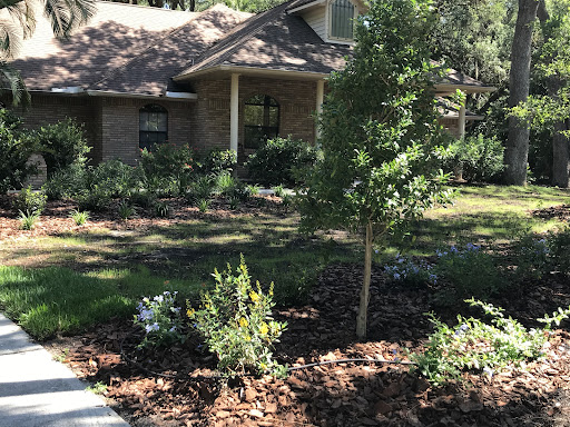 Project photo shared by Rose Ohnemus