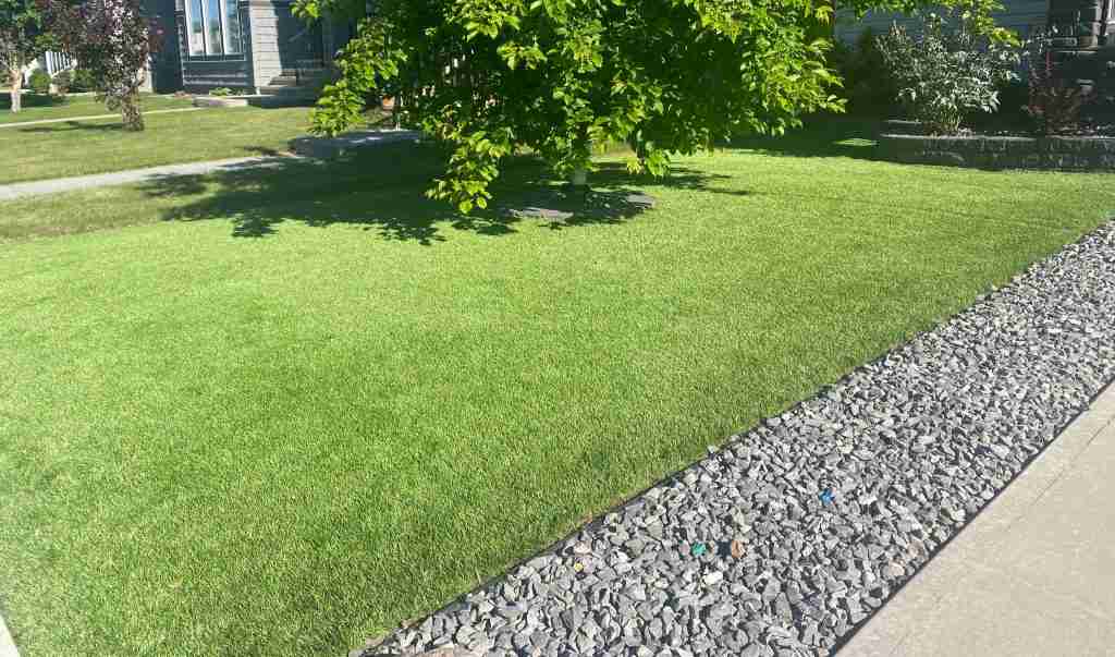 The Cost of Installing Artificial Grass: Is It Worth It?