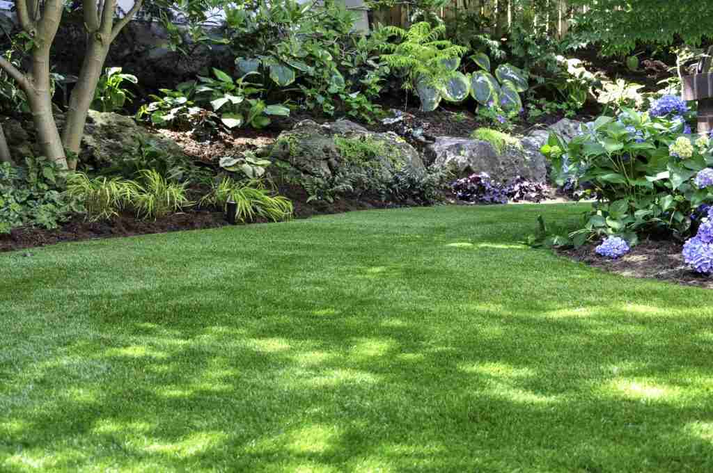 Artificial Turf vs. Natural Grass: Which Is Better for Your Yard?